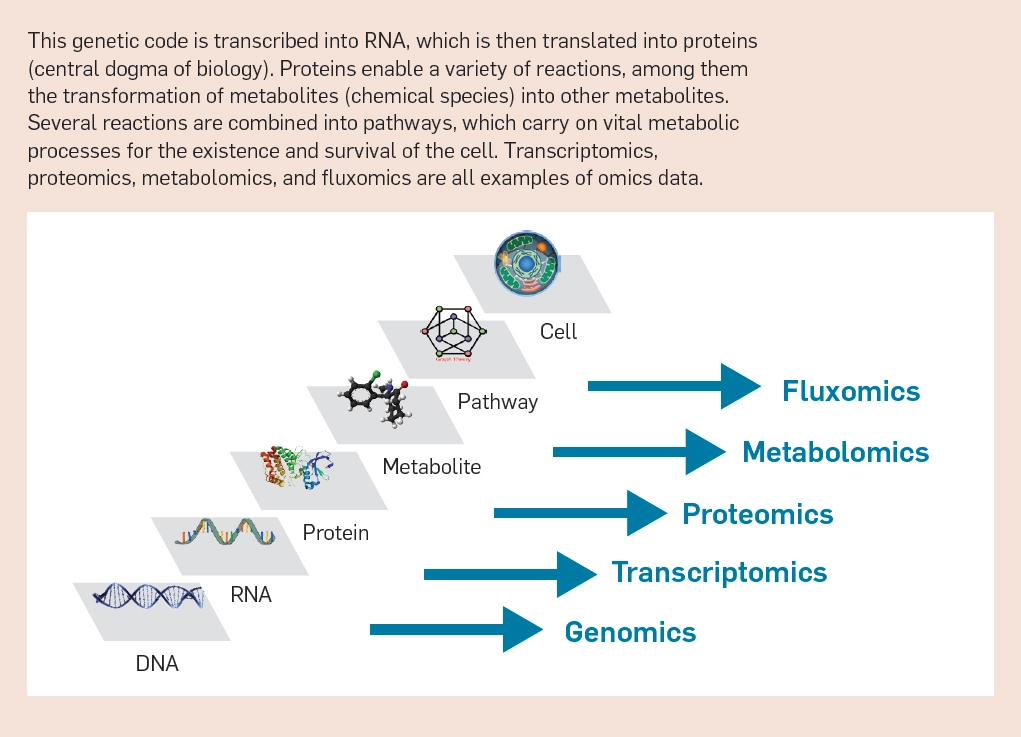 AI 與合成生物學「聯姻」的五大挑戰：技術、數據、算法、評估與社會學(圖2)