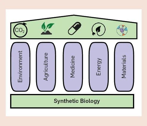 AI 與合成生物學「聯姻」的五大挑戰：技術、數據、算法、評估與社會學(圖4)