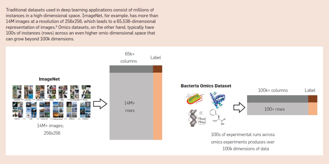 AI 與合成生物學「聯姻」的五大挑戰：技術、數據、算法、評估與社會學(圖8)